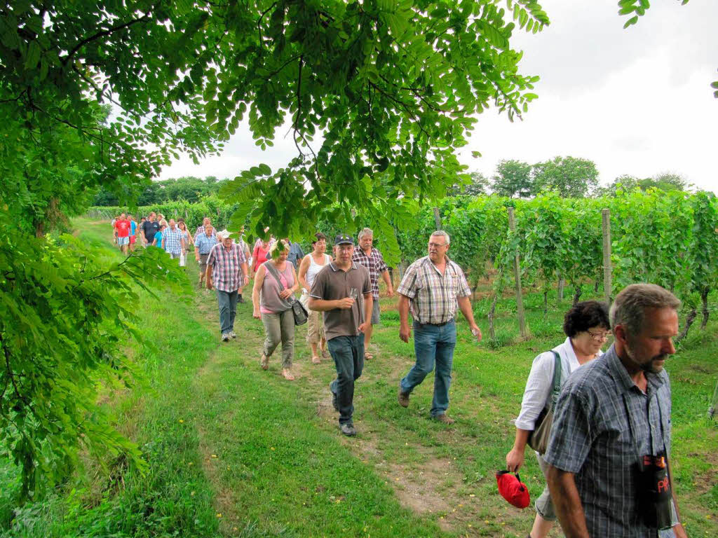 Gewandert wurde dort, wo der Wein wchst