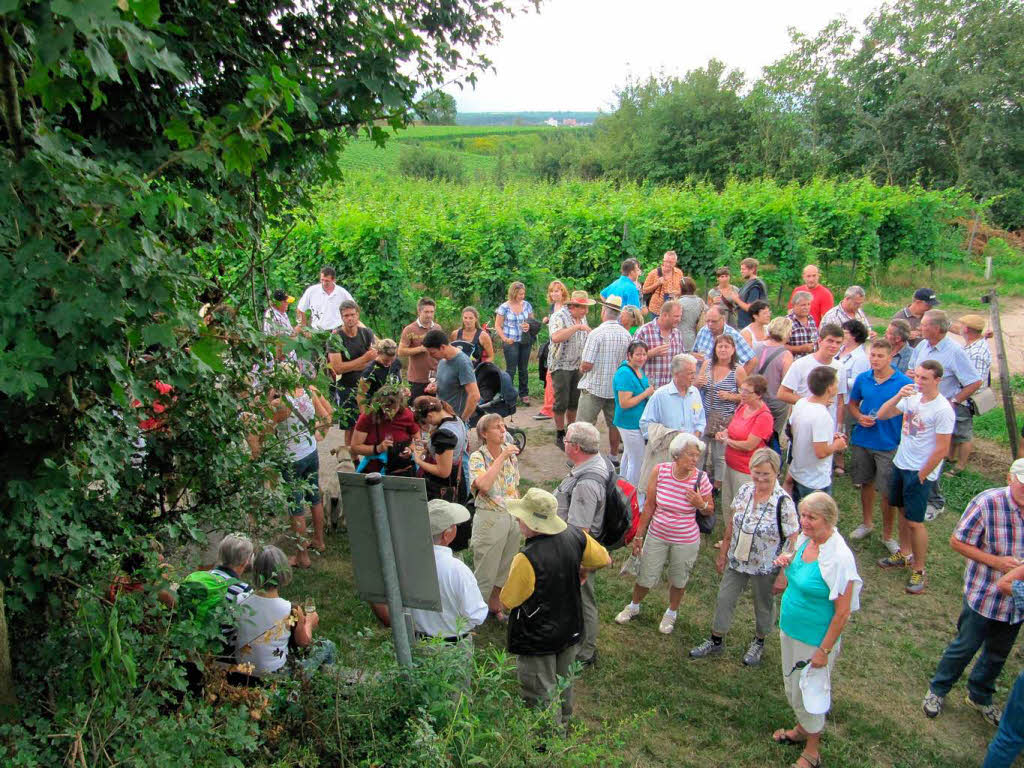 Neunzig Teilnehmer verkosteten die Kndringer Weine.