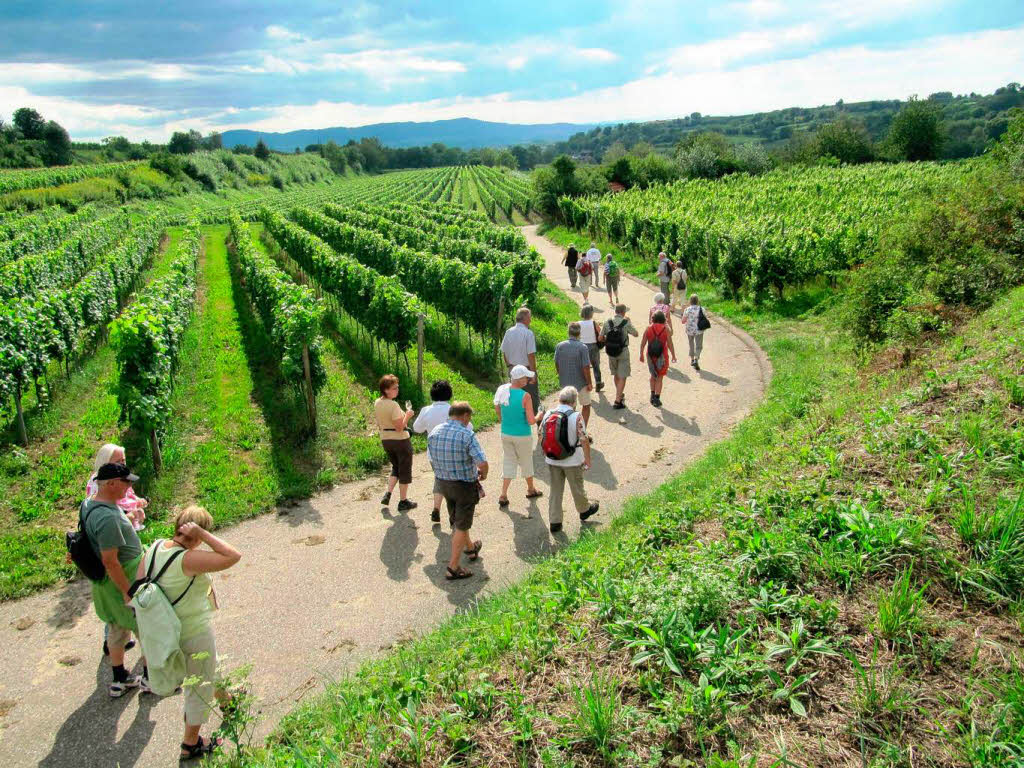 Weiter  in Richtung Hungerberg