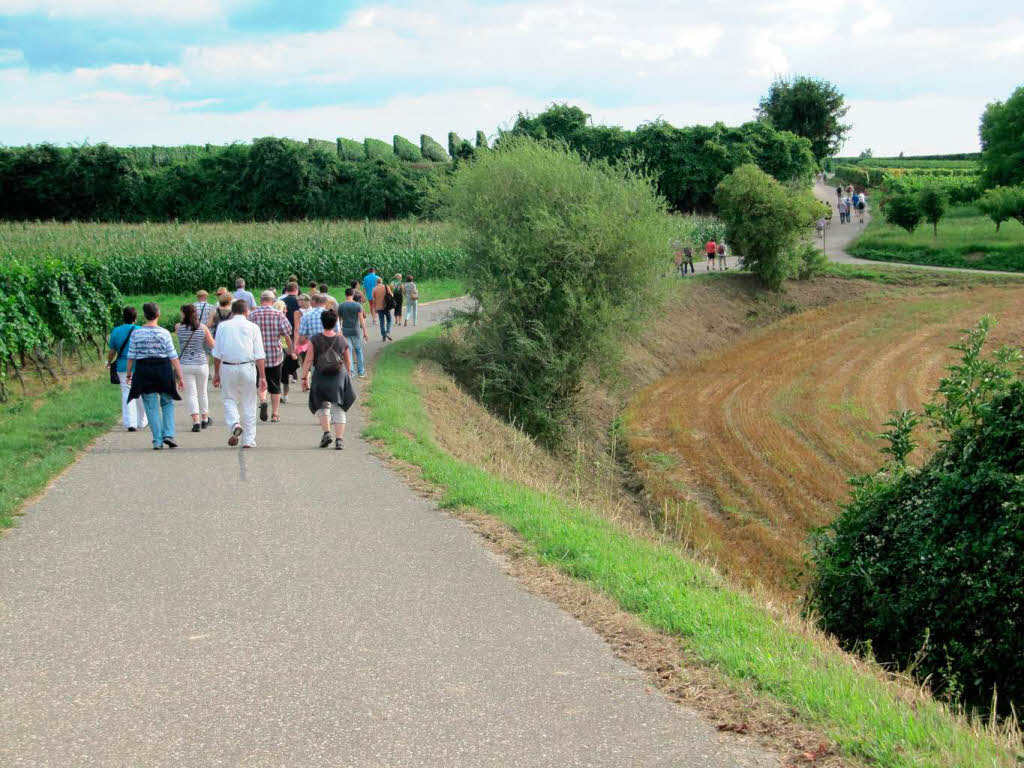 Hinter diesem Hgel findet das Weinfest Kndringen statt.