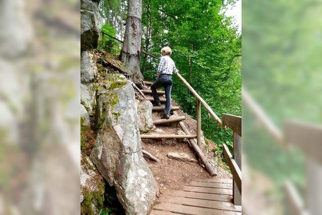 Behrde: Der genutzte Klettersteig ist fr das Reiten tabu