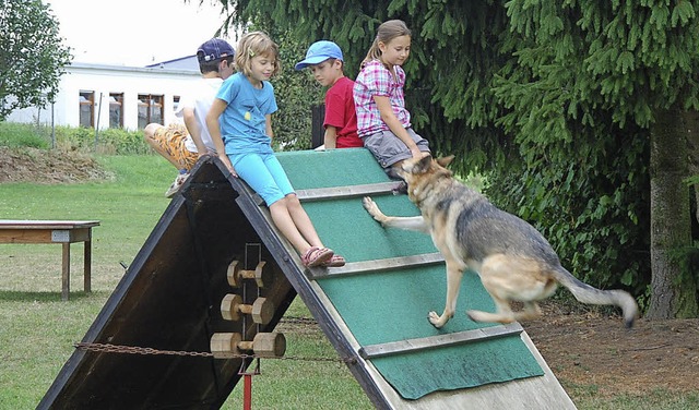 Hautnah konnten  Kinder die Hunde und ...ktion des Schferhundevereins erleben.  | Foto: Jrg Schimanski