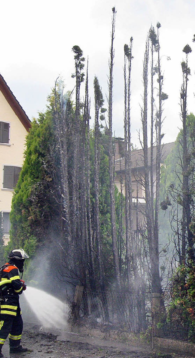 Von den Pflanzen blieb nicht viel: Feu...er brennenden Thujahecke in Mundingen.  | Foto: Polizei