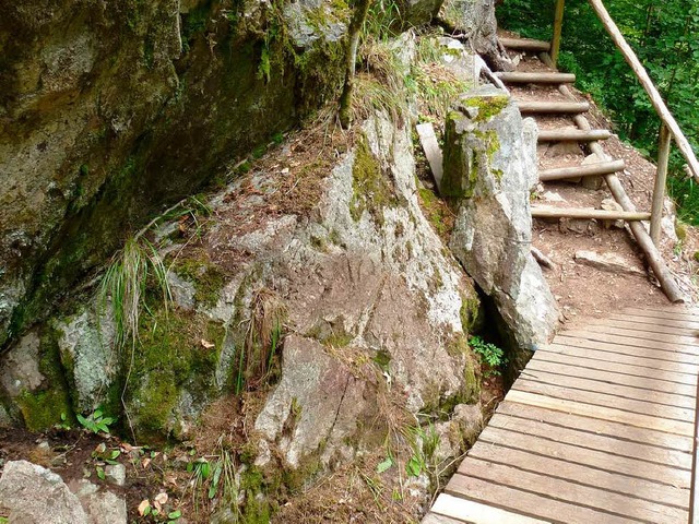 Der Klettersteig in der Haslachschluch...d spter eingeschlfert werden musste.  | Foto: peter stellmach