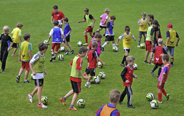 Zustzliche Frderung der Nachwuchskicker wird in Fuballschulen angeboten.   | Foto: Promo