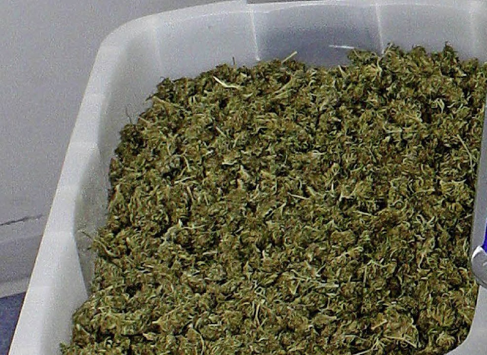 War Thema im Amtsgericht: Cannabis   | Foto: DPA