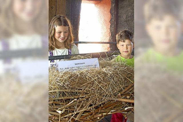 Zu Besuch beim Storch im Turm