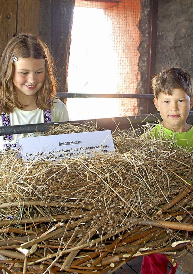 Die Kinder bestaunten das groe nachgebaute Storchennest.   | Foto: Petra Wunderle