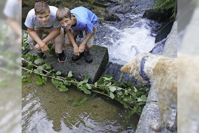 Die Organisatoren haben nicht immer Sommerspa