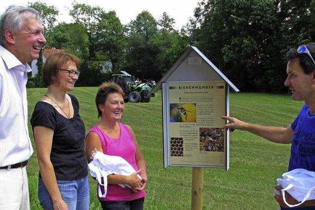 Ausflug in die faszinierende Welt der Bienen