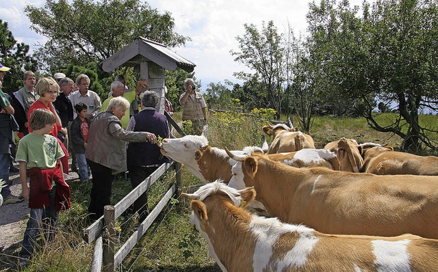 Natur und Tiere kann man beim Grindenfest hautnah erleben.   | Foto: pr