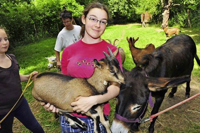 Kinder und Tiere kommen sich nher