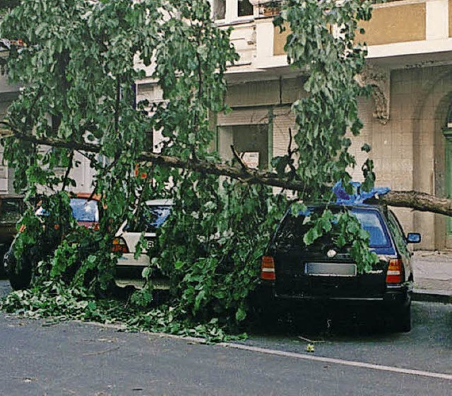 Unangenehm, wenn man eins aufs Dach kriegt.   | Foto: dav