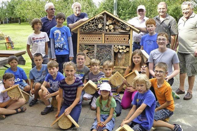 Ein Haus fr Bienen und Co.