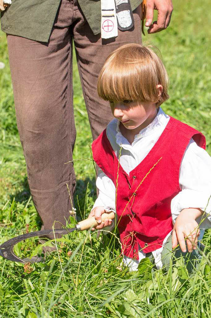 Auch mit der Sichel lässt sich Gras abschneiden Auch mit der Sichel lässt sich Gras abschneiden