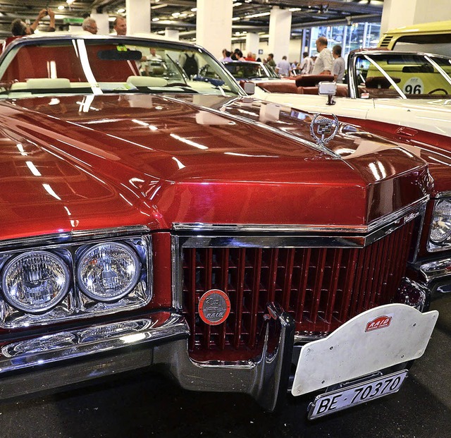 | Foto: Michael Reich | Foto: Michael Reich