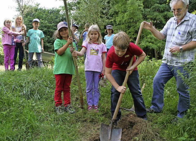 Bernhard Wiesler von den Natur- und Vo...Hilfestellung beim Pflanzen der Bume.  | Foto: R. Cremer