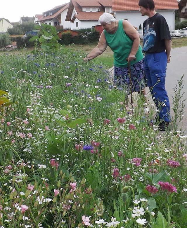 In der  Hottinger Bruckmatt entstand diese Blumeninsel.  | Foto:  W. ADAM