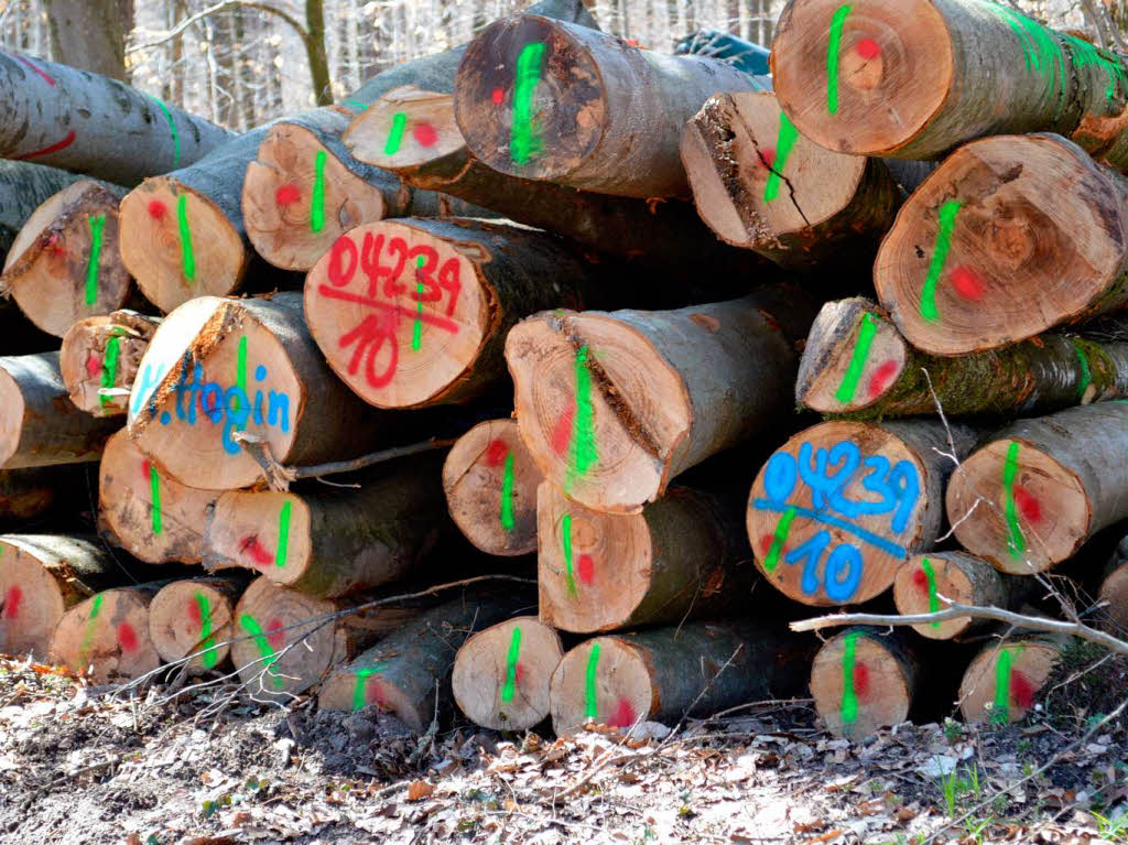 Uwe Staub: gesehen bei einem Spaziergang im Rttler Wald