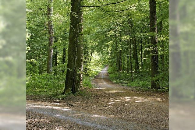 Landschaftsgenuss und Naturschutz