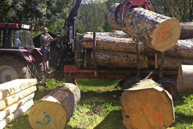 Holz fr Knstler ist bereit