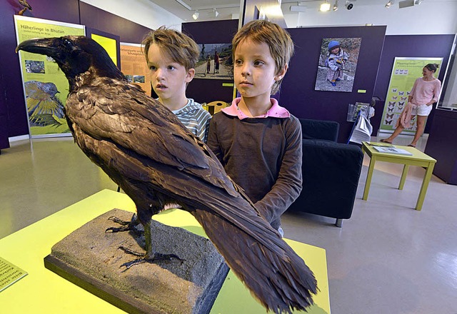 Faszinierende Einblicke im Naturmuseum  | Foto: Michael Bamberger