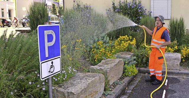 Christian Beck giet hier auf einem Parkplatz an der Baslerstrae.  | Foto: Martina Proprenter