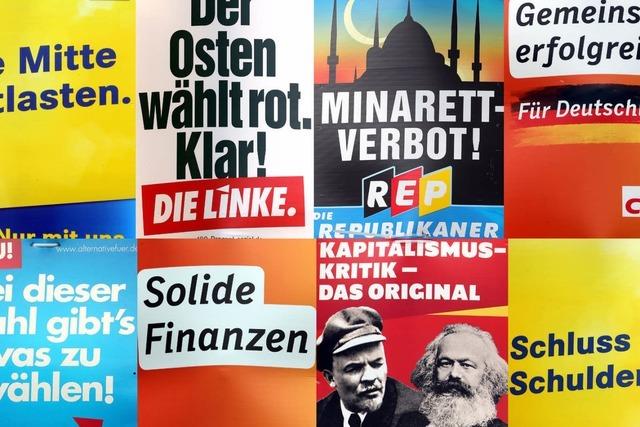 Bundestagswahl 2013: Die schrgsten Wahlwerbespots