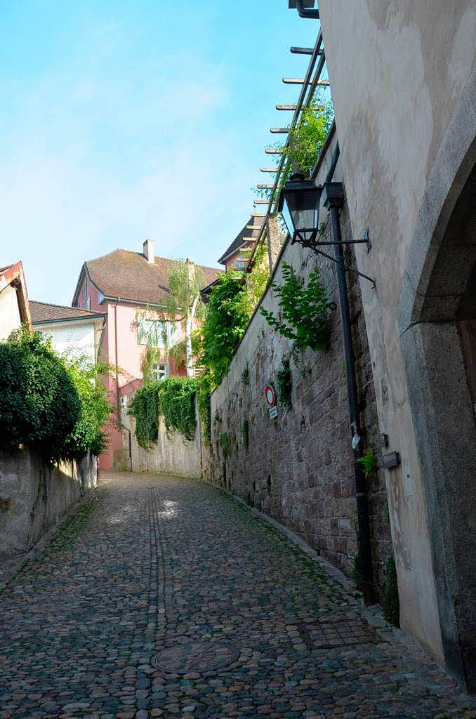 Impressionen vom BZ-Sommerspa in Schweizer Rheinfelden