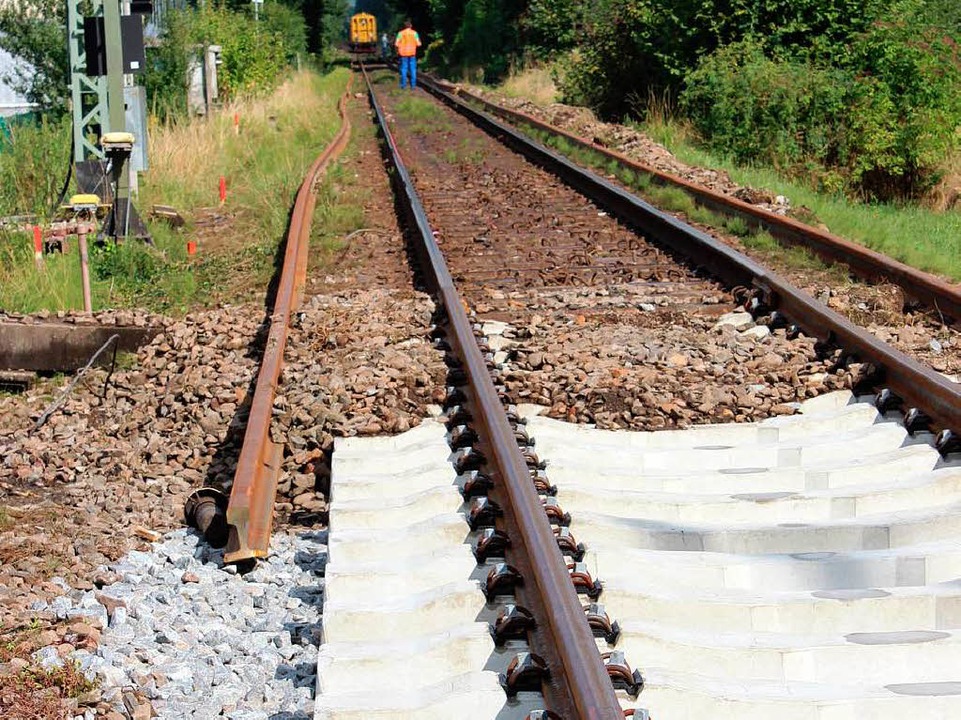 Ein riesiger Gleisbauzug war zwischen Gottenheim und Hugstetten im Einsatz.   | Foto: Mario Schneberg