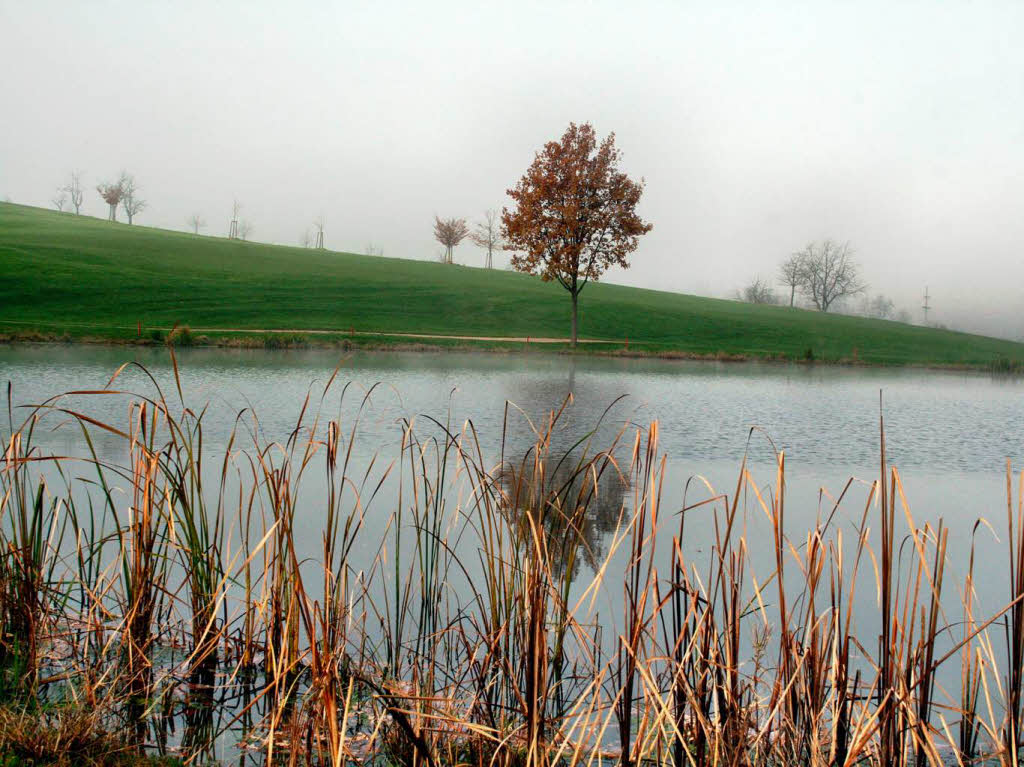 Dietmar Hbler: Golfplatzsee in Kandern