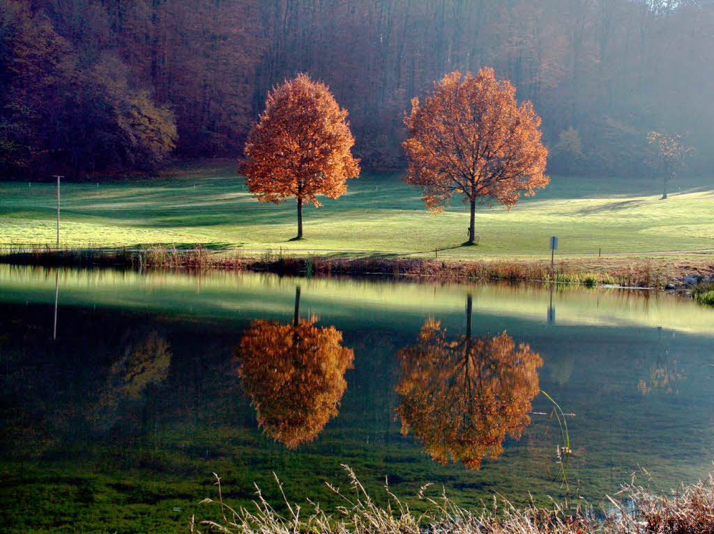 Dietmar Hbler: Golfplatzsee in Kandern