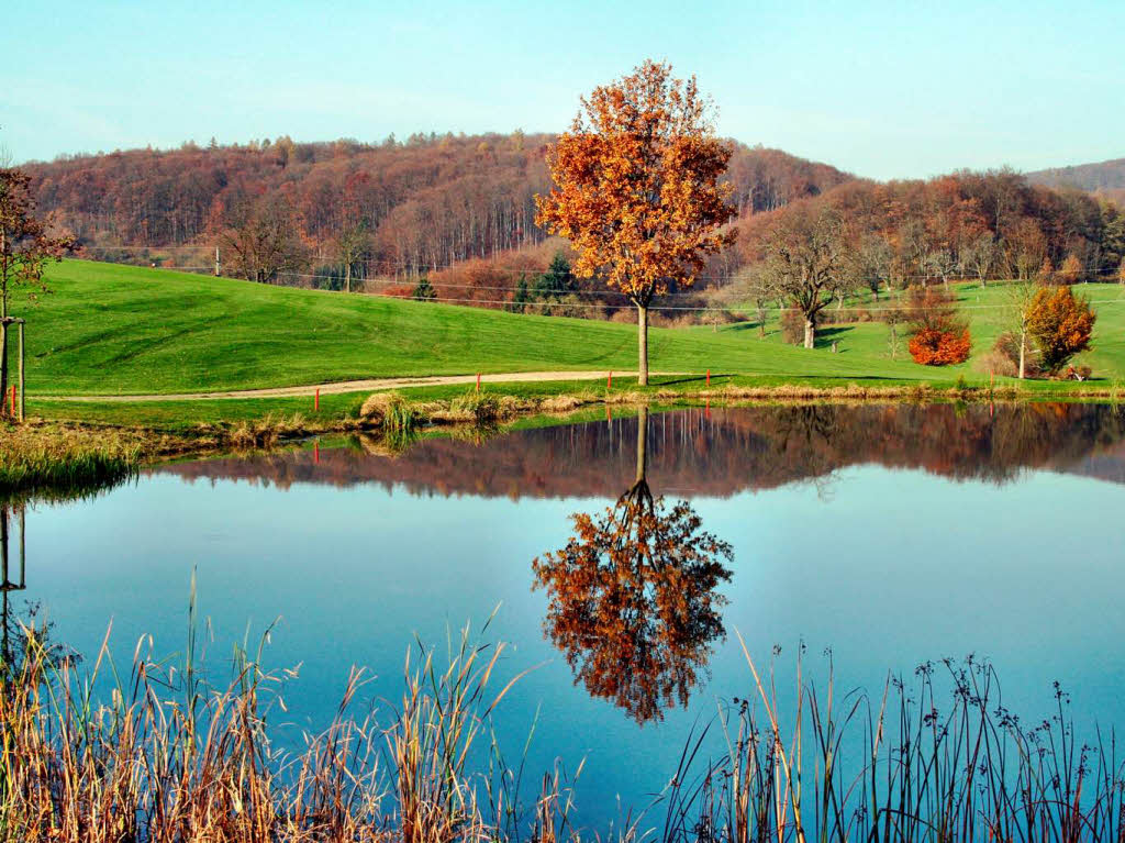 Dietmar Hbler: Golfplatzsee in Kandern