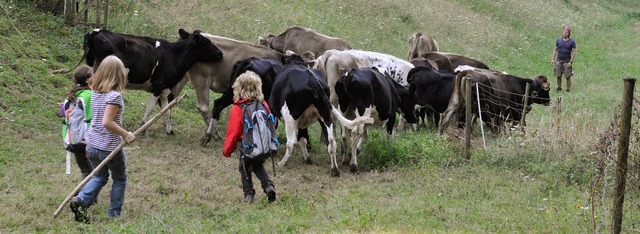 Erlebniswelt Landwirtschaft: Die Kinde...eine Kuhherde auf eine frische Weide.   | Foto: Franziska Lffler