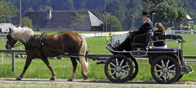 Gesamtsiegerstute &quot;Monik&quot; an...chter und Besitzer Werner Schulthei.  | Foto: Monika Rombach