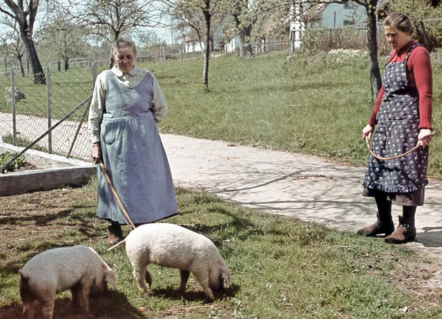 Das buerliche Leben wie die Schweine ...n,  war ein Lieblingsthema von Thoma.   | Foto: Frderverein Heimatmuseum Hotzenwald-Grwihl