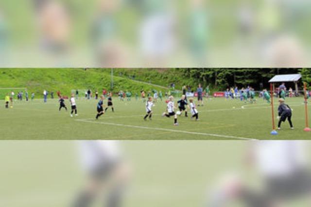 Kleiner Verein mit Jugendfuball fr alle Altersklassen