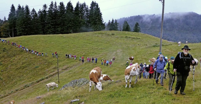 Nach der Mittagsrast in der Krunkelbac... der Blick ins Bernauer Hochtal frei.   | Foto: Franz Kaiser