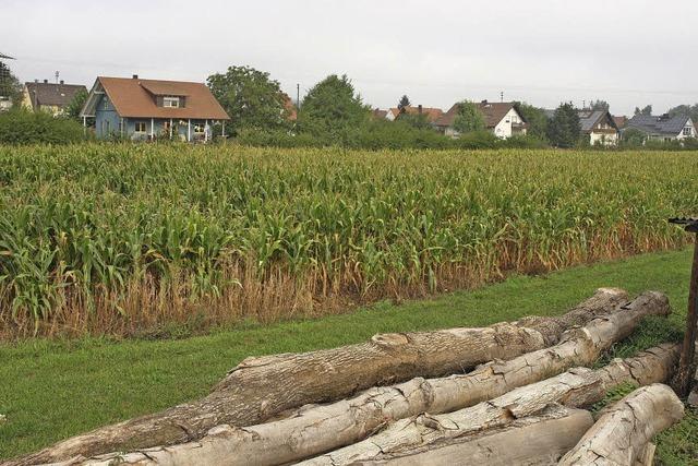 Weichen fr neue Baugebiete gestellt