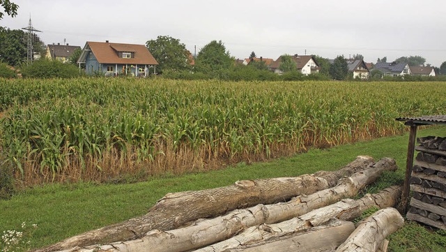 Ein Baugebiet soll im Ortsteil Sasbach... der Bebauung Eschenstrae, entstehen.  | Foto: Michael haberer