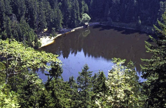 Der geheimnisvolle Glaswaldsee liegt g...iner Tour  der Hansjakob-Wanderwoche.   | Foto: alois Krafczyk