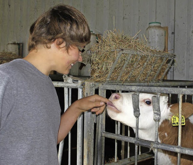 Vor allem die Klber haben es Dominic ...Benjamin Isele in Wittlekofen angetan.  | Foto: Martha Weishaar