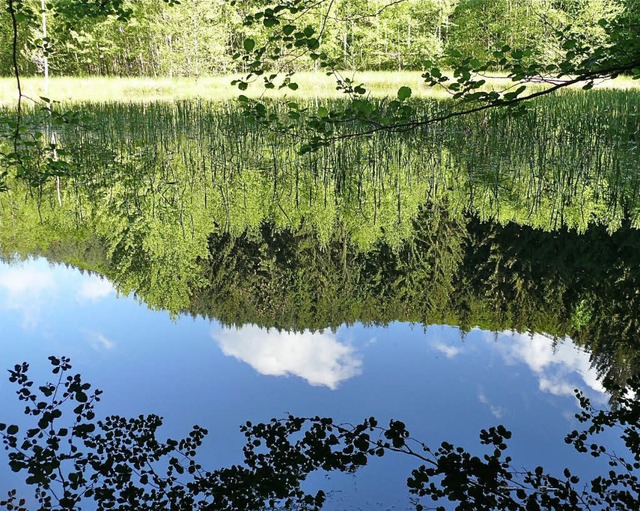 Der  in unberhrter Natur liegende Gndig-Frauen-Weiher  | Foto: kaiser