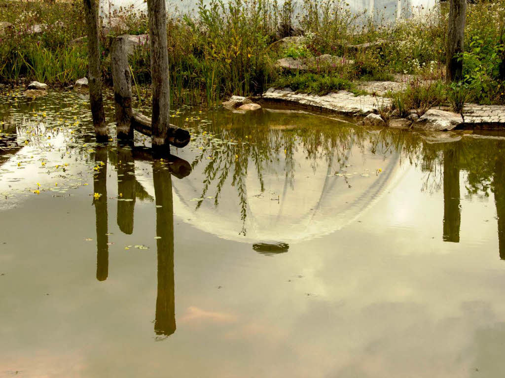 2. Platz: Bernhard Wigott: Wasserblase