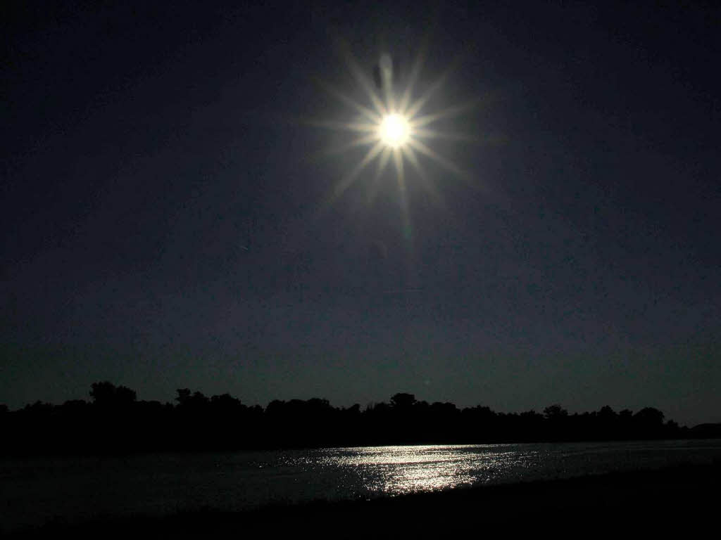 Siglinde Wigott: Am Rhein