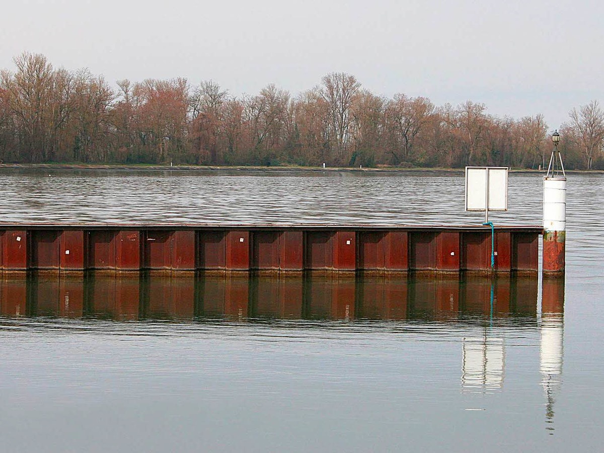 Siglinde Wigott: Am Rhein