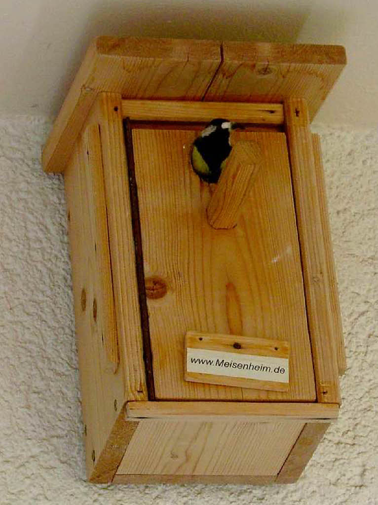 Kohlmeise beim Fttern ihrer Jungen