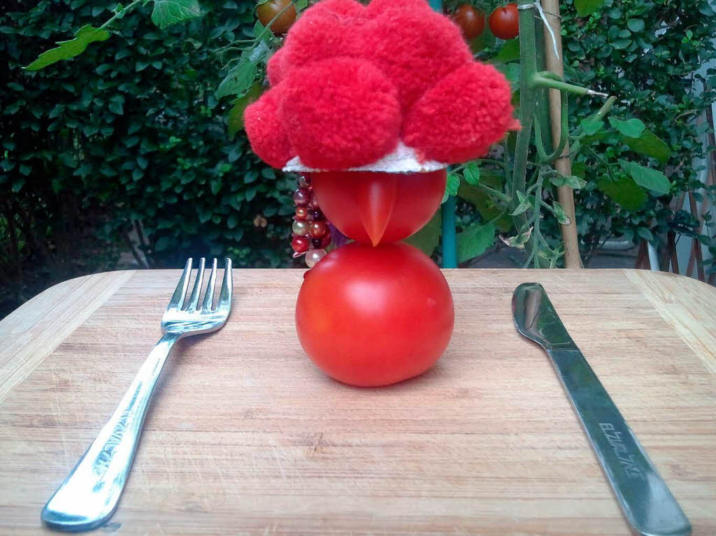 Tomatenernte