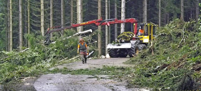 Die Kreisstrae von Rickenbach nach H...g voll fr den Kraftverkehr gesperrt.   | Foto: WOLFGANG ADAM