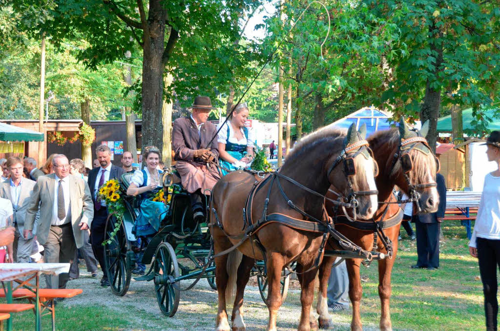 Impressionen von der Erffnung des Breisacher Weinfestes